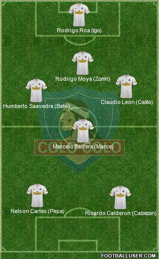 CSD Colo Colo Formation 2012