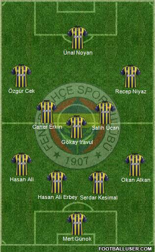 Fenerbahçe SK Formation 2012