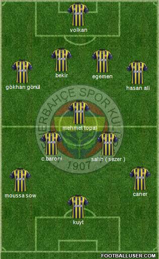 Fenerbahçe SK Formation 2012