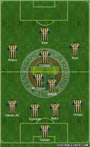 Fenerbahçe SK Formation 2012