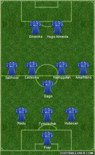 St. Johnstone Formation 2012
