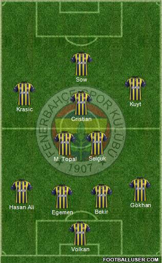 Fenerbahçe SK Formation 2012