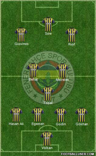 Fenerbahçe SK Formation 2012