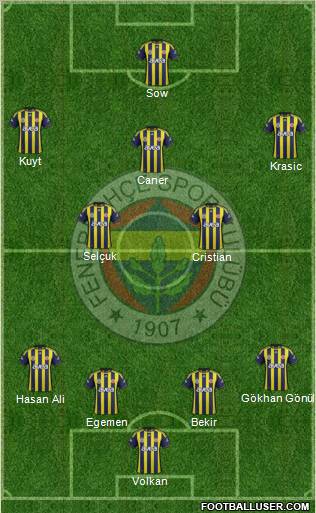Fenerbahçe SK Formation 2012