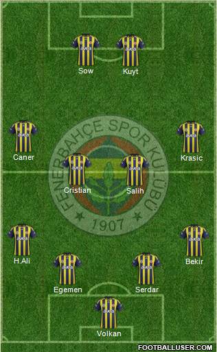 Fenerbahçe SK Formation 2012