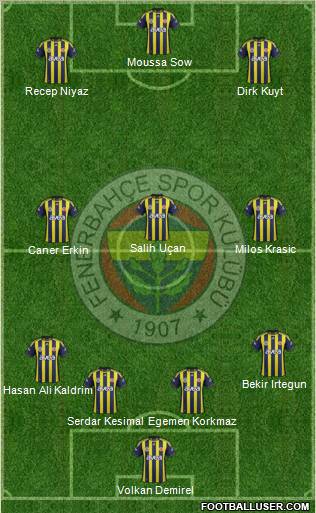 Fenerbahçe SK Formation 2012