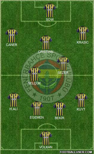 Fenerbahçe SK Formation 2012