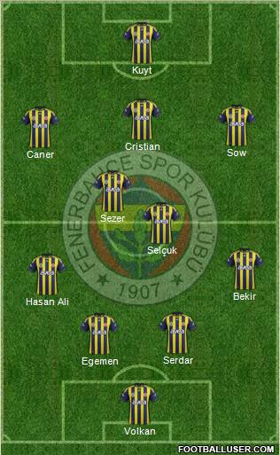 Fenerbahçe SK Formation 2012
