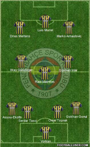 Fenerbahçe SK Formation 2012