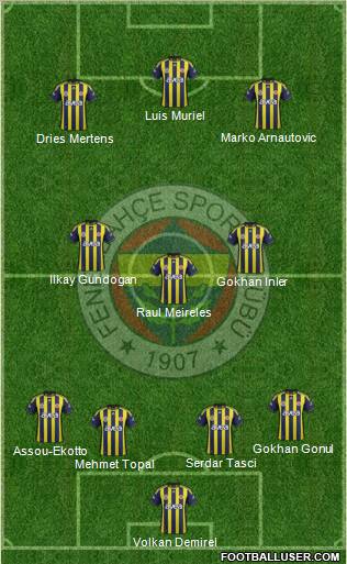 Fenerbahçe SK Formation 2012