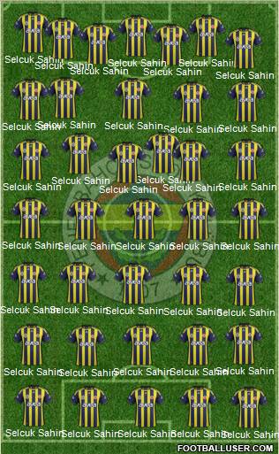 Fenerbahçe SK Formation 2012