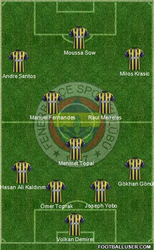 Fenerbahçe SK Formation 2012