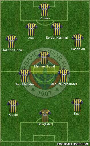 Fenerbahçe SK Formation 2012