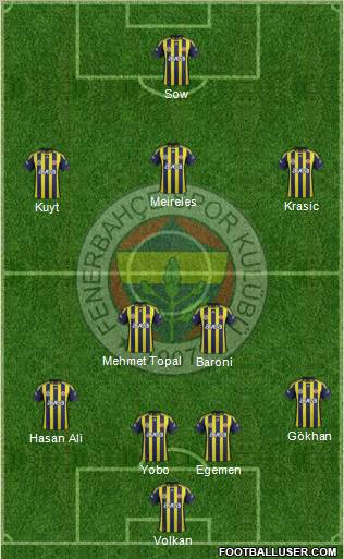 Fenerbahçe SK Formation 2012