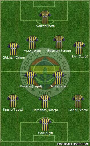 Fenerbahçe SK Formation 2012