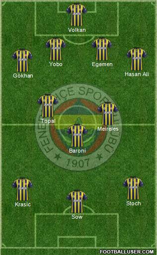 Fenerbahçe SK Formation 2012
