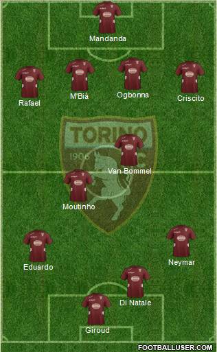 Torino Formation 2012