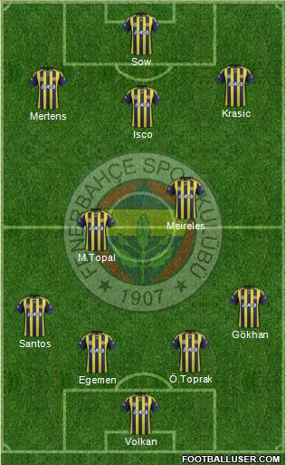 Fenerbahçe SK Formation 2012