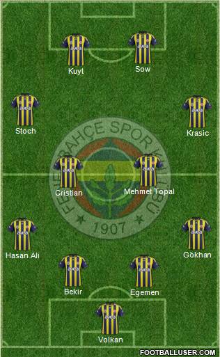 Fenerbahçe SK Formation 2012