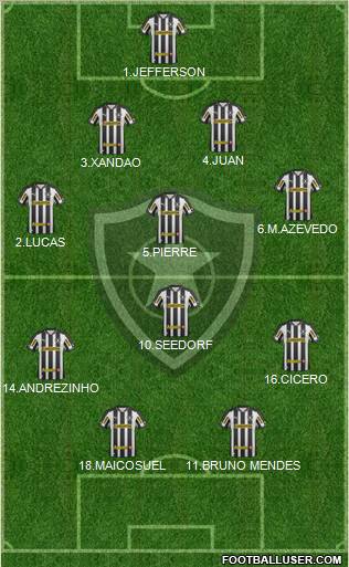 Botafogo FR Formation 2012