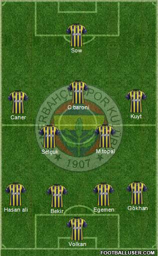 Fenerbahçe SK Formation 2012
