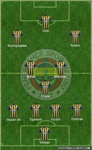 Fenerbahçe SK Formation 2012