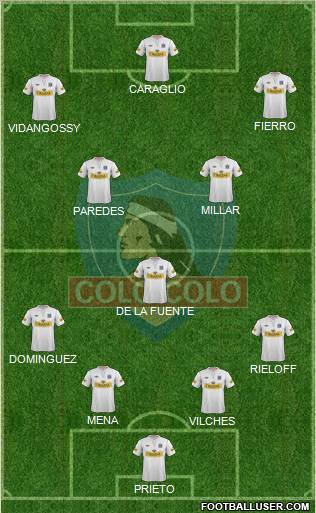 CSD Colo Colo Formation 2012