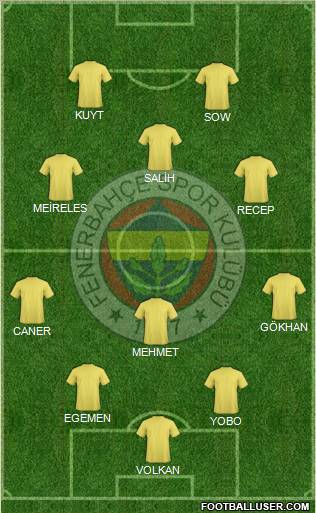Fenerbahçe SK Formation 2012