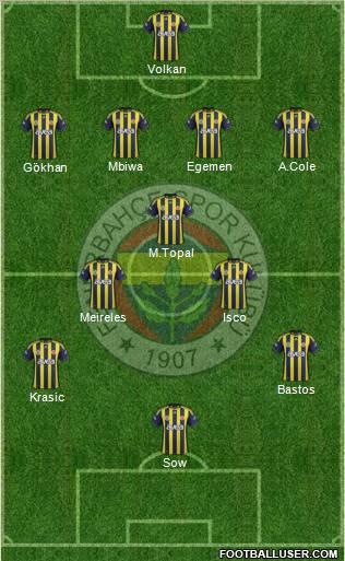 Fenerbahçe SK Formation 2012