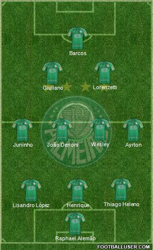 SE Palmeiras Formation 2012