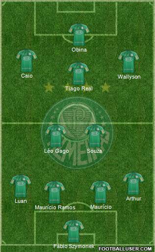 SE Palmeiras Formation 2012