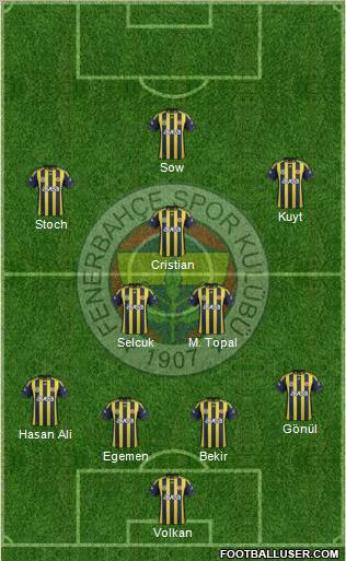 Fenerbahçe SK Formation 2012