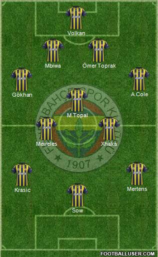 Fenerbahçe SK Formation 2012