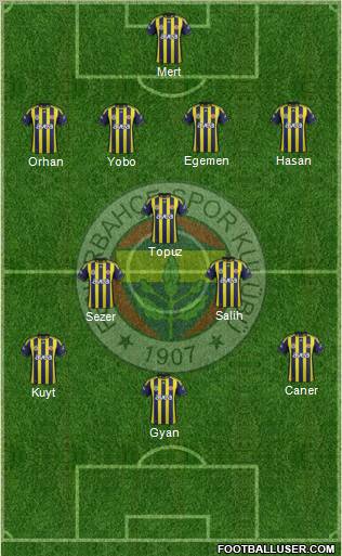 Fenerbahçe SK Formation 2012