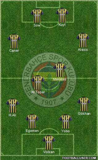 Fenerbahçe SK Formation 2012