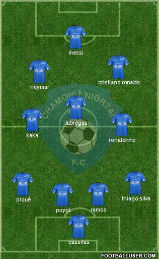 Chamois Niortais Football Club Formation 2012