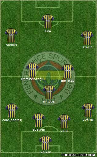 Fenerbahçe SK Formation 2012