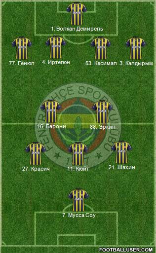 Fenerbahçe SK Formation 2012