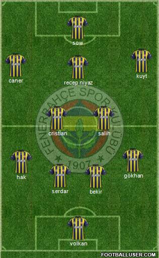 Fenerbahçe SK Formation 2012