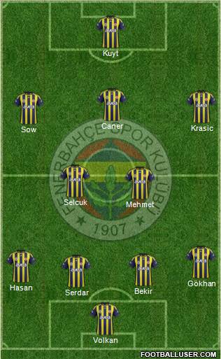 Fenerbahçe SK Formation 2012