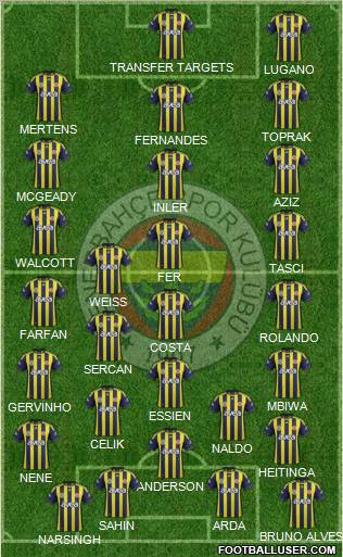 Fenerbahçe SK Formation 2012