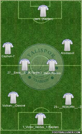 Yalispor Formation 2012
