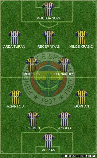 Fenerbahçe SK Formation 2012