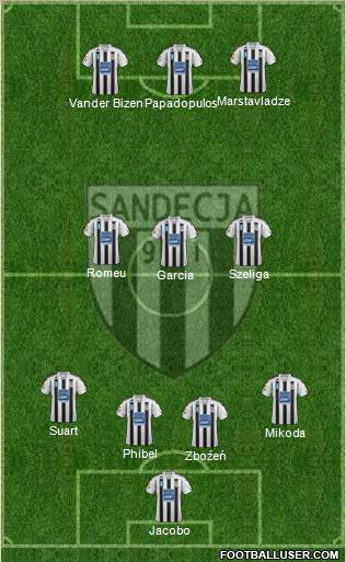 Sandecja Nowy Sacz Formation 2012
