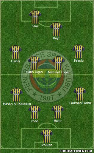Fenerbahçe SK Formation 2012