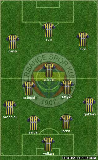 Fenerbahçe SK Formation 2012