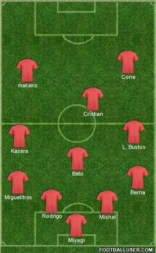 Newcastle United Formation 2012