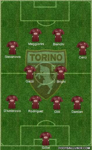 Torino Formation 2012