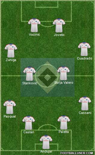 Hamburger SV Formation 2012