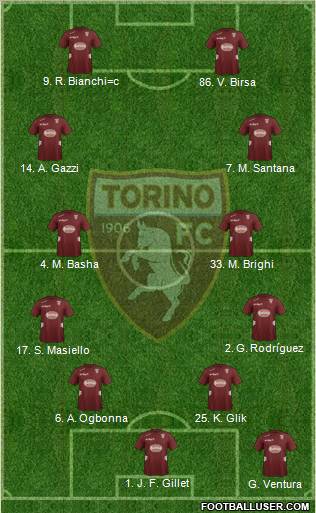 Torino Formation 2012